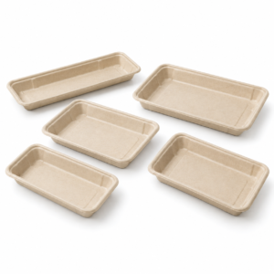 Bagasse Sushi Trays