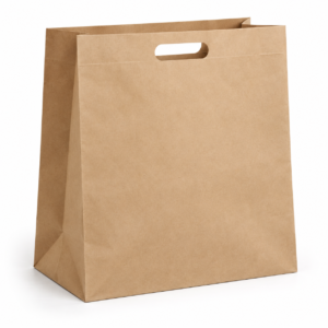 20 x 20 Die Cut Paper Bag XX-large