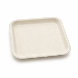 6 inch Bagasse Square Plate