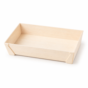 Container - 1 Go