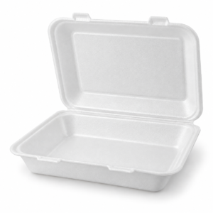 Foam Barbeque Box
