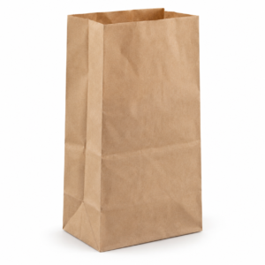 60 GSM King Grocery Paper Bag 6.1 x 4.1 x 12 in