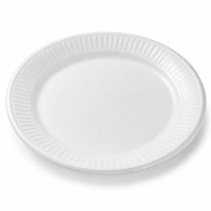 EPS 10.25″ Foam Plate - White