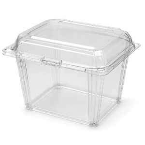OPS Fruit Hinged Container 1 Pint - Retail Pack