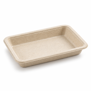 6.5×4.5 inch Bagasse Sushi Tray