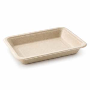 7.2×5 inch Bagasse Sushi Tray