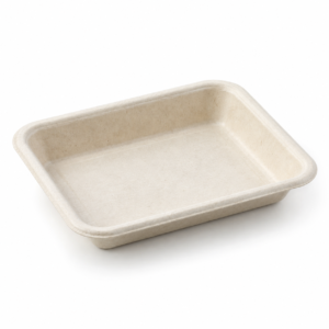 5 x 4 inch Bagasse Cake Tray