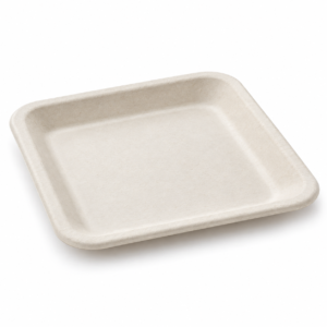 10 Inch Bagasse Square Plate