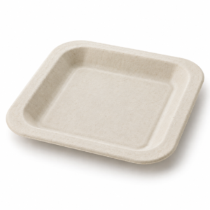 7 inch Bagasse Square Plate